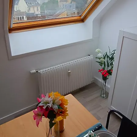 Apartment Equipe En Hyper-centre Avec Parking Prive Et Gratuit - Vue Sur La Et Chateau De *