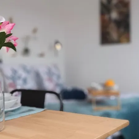 Equipe En Hyper-centre Avec Parking Prive Et Gratuit - Vue Sur La Et Chateau De