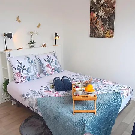 Equipe En Hyper-centre Avec Parking Prive Et Gratuit - Vue Sur La Et Chateau De