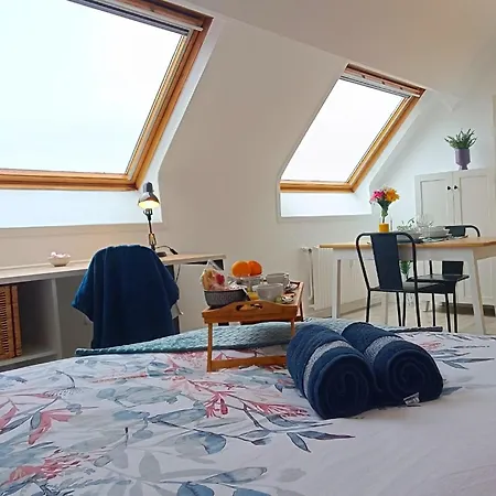 Apartment Equipe En Hyper-centre Avec Parking Prive Et Gratuit - Vue Sur La Et Chateau De