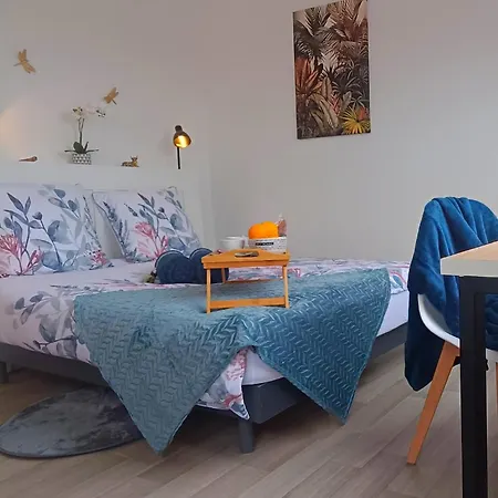 Equipe En Hyper-centre Avec Parking Prive Et Gratuit - Vue Sur La Et Chateau De * Caen