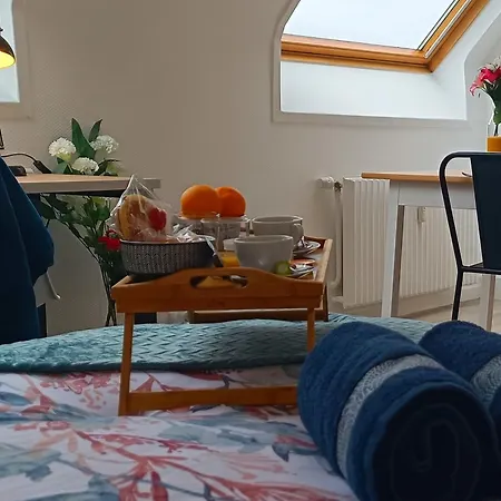 Equipe En Hyper-centre Avec Parking Prive Et Gratuit - Vue Sur La Et Chateau De