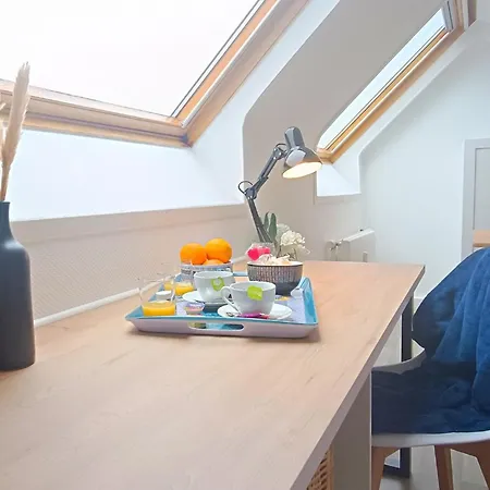 Equipe En Hyper-centre Avec Parking Prive Et Gratuit - Vue Sur La Et Chateau De Lejlighed *