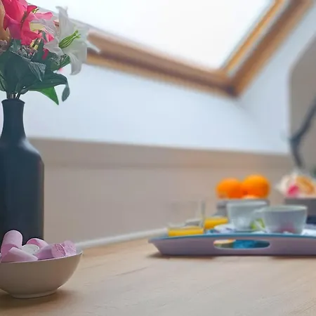 Lejlighed Equipe En Hyper-centre Avec Parking Prive Et Gratuit - Vue Sur La Et Chateau De