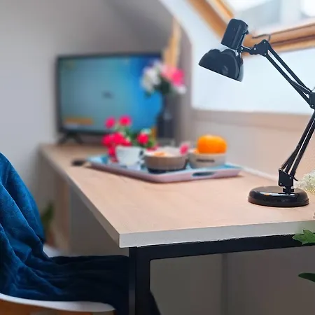 Equipe En Hyper-centre Avec Parking Prive Et Gratuit - Vue Sur La Et Chateau De