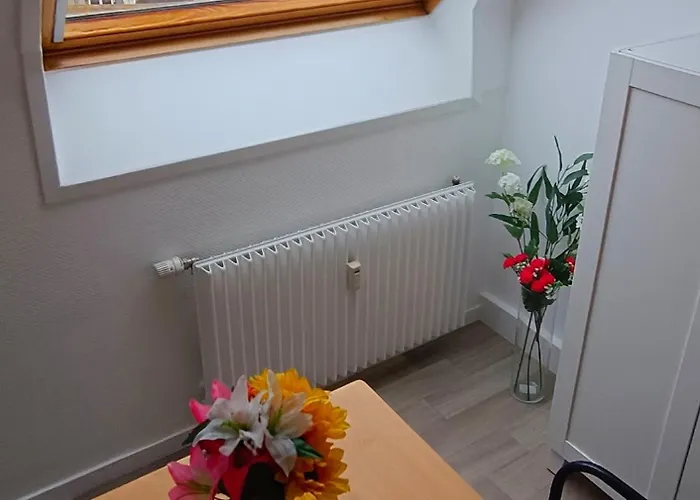 Apartment Equipe En Hyper-centre Avec Parking Prive Et Gratuit - Vue Sur La Et Chateau De *