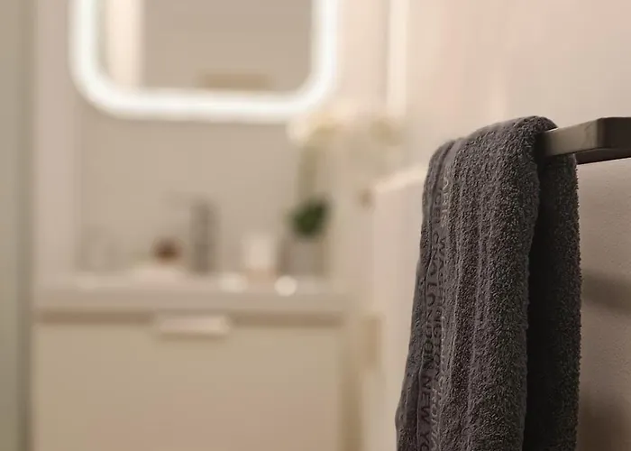 Apartment Equipe En Hyper-centre Avec Parking Prive Et Gratuit - Vue Sur La Et Chateau De