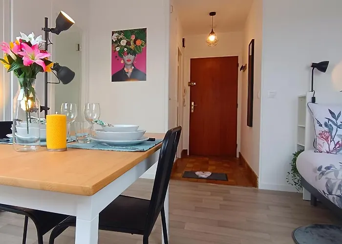 Equipe En Hyper-centre Avec Parking Prive Et Gratuit - Vue Sur La Et Chateau De