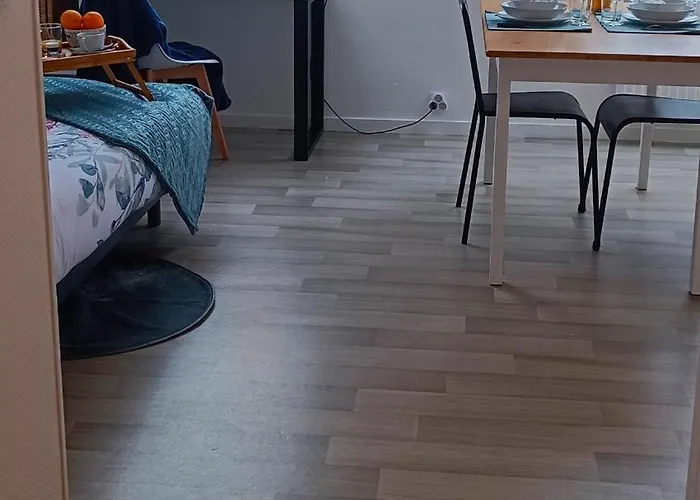 Equipe En Hyper-centre Avec Parking Prive Et Gratuit - Vue Sur La Et Chateau De *