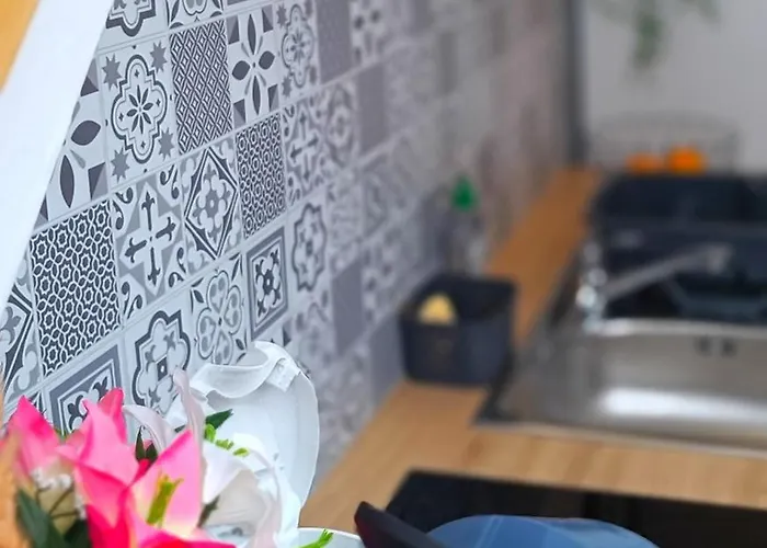 Lejlighed Equipe En Hyper-centre Avec Parking Prive Et Gratuit - Vue Sur La Et Chateau De