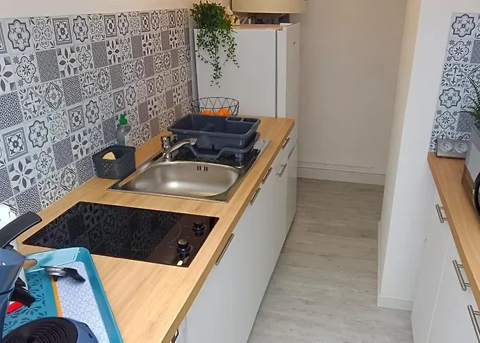 Lejlighed Equipe En Hyper-centre Avec Parking Prive Et Gratuit - Vue Sur La Et Chateau De *