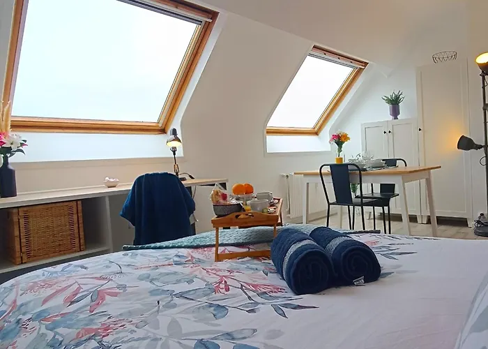 Lejlighed Equipe En Hyper-centre Avec Parking Prive Et Gratuit - Vue Sur La Et Chateau De