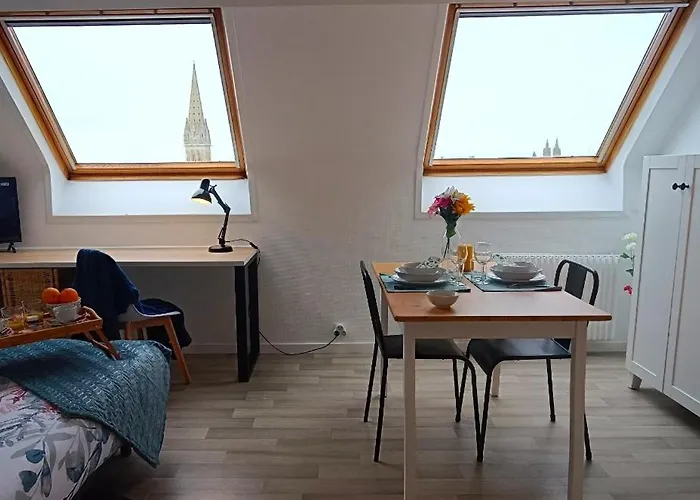 Equipe En Hyper-centre Avec Parking Prive Et Gratuit - Vue Sur La Et Chateau De Lejlighed