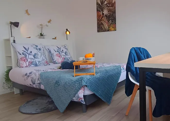 Equipe En Hyper-centre Avec Parking Prive Et Gratuit - Vue Sur La Et Chateau De * Caen