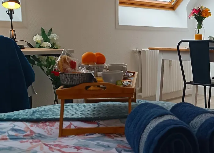 Equipe En Hyper-centre Avec Parking Prive Et Gratuit - Vue Sur La Et Chateau De