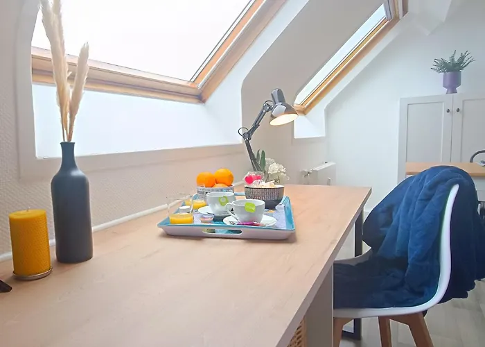 Equipe En Hyper-centre Avec Parking Prive Et Gratuit - Vue Sur La Et Chateau De Lejlighed *