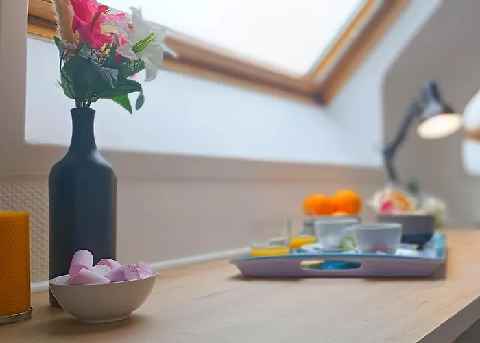 Apartment Equipe En Hyper-centre Avec Parking Prive Et Gratuit - Vue Sur La Et Chateau De