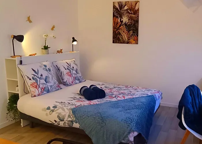 Equipe En Hyper-centre Avec Parking Prive Et Gratuit - Vue Sur La Et Chateau De Apartment